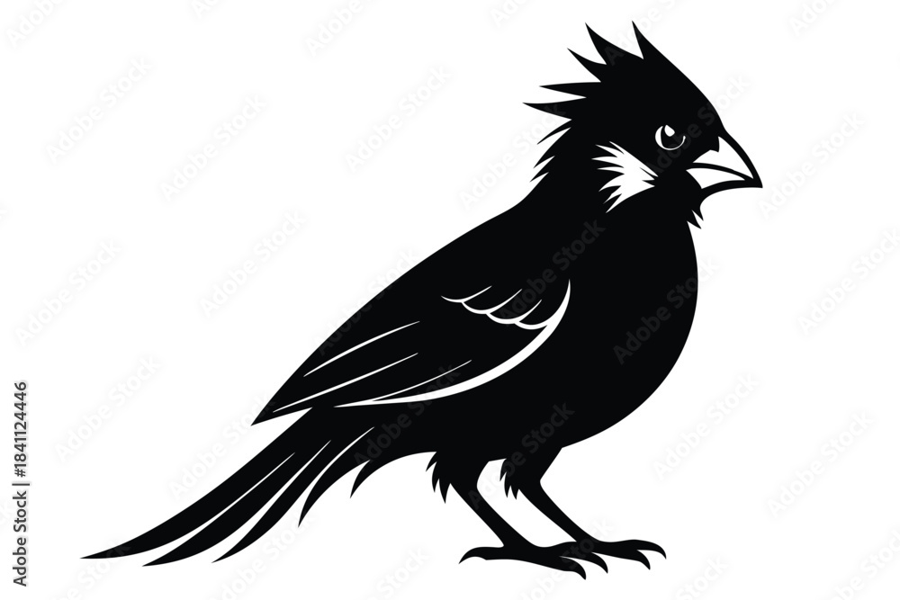 Obraz premium cardinal silhouette line art vector illustration with a white background