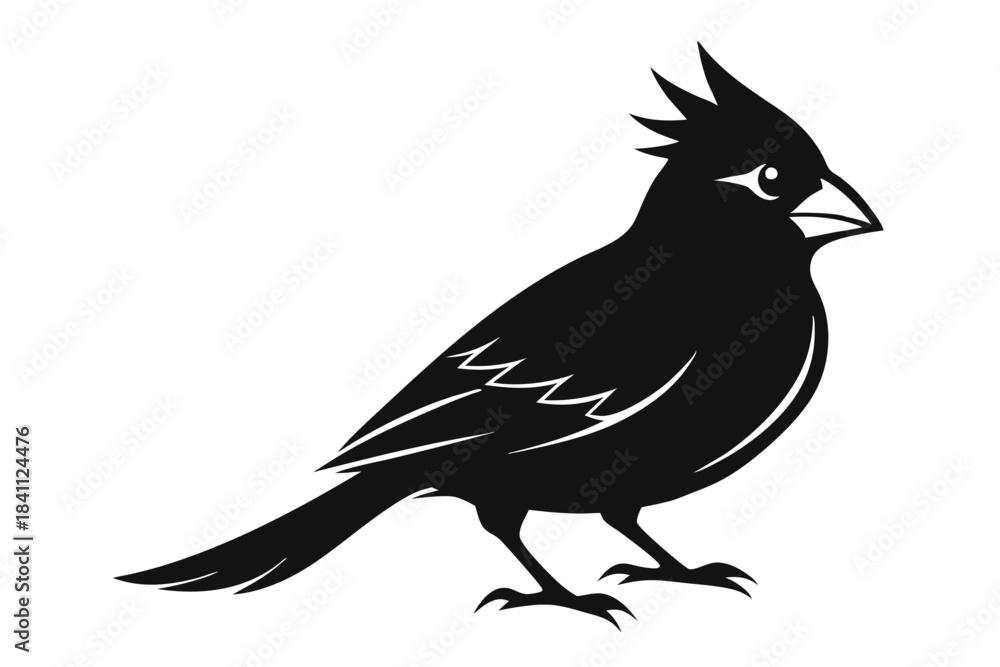 Obraz premium cardinal silhouette line art vector illustration with a white background