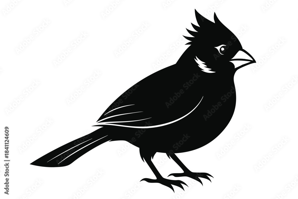Obraz premium cardinal silhouette line art vector illustration with a white background