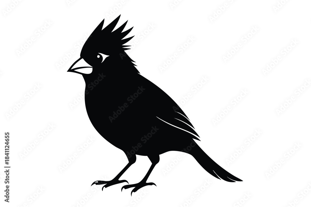 Obraz premium cardinal silhouette line art vector illustration with a white background