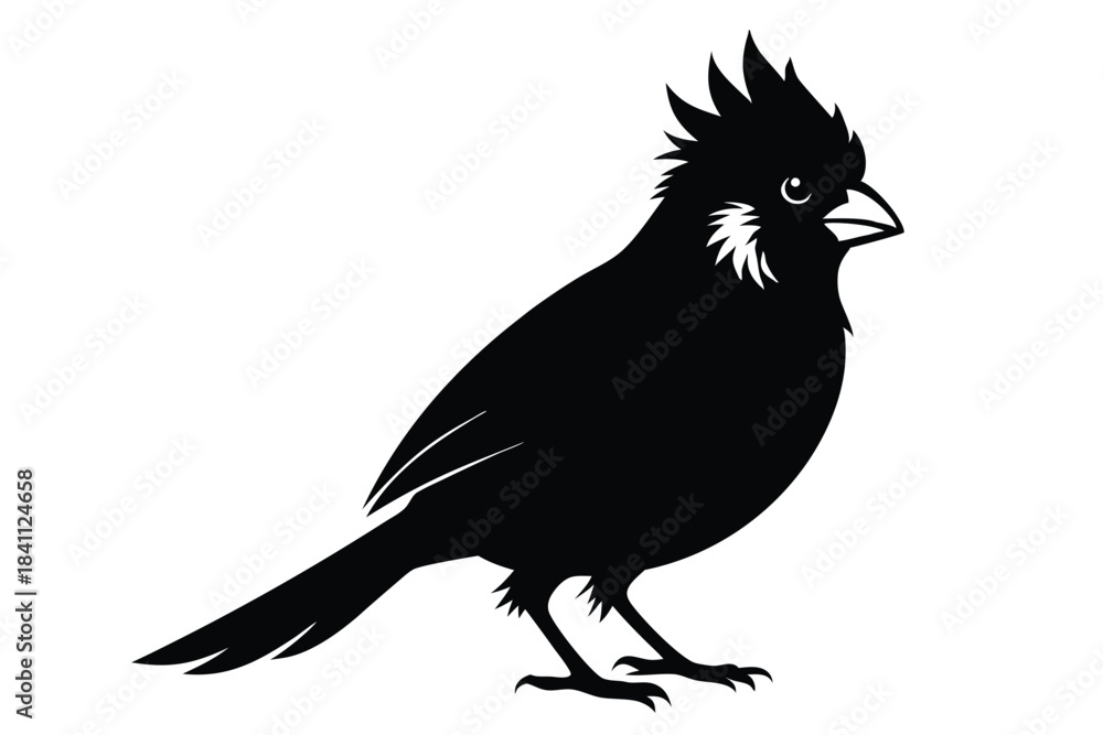Obraz premium cardinal silhouette line art vector illustration with a white background