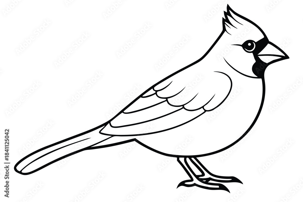 Obraz premium cardinal silhouette line art vector illustration with a white background