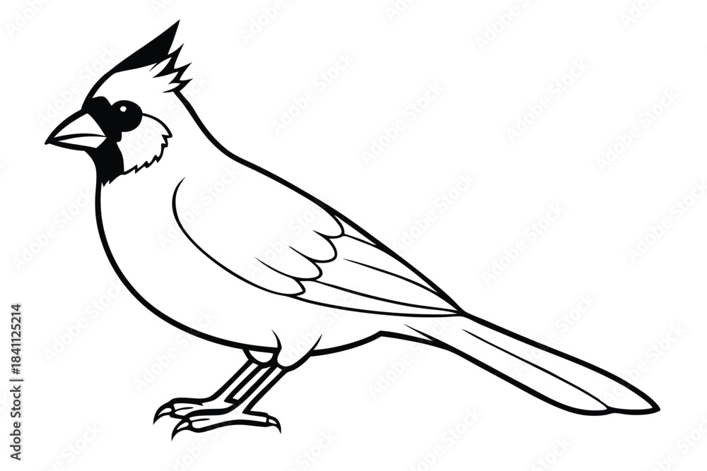 Obraz premium cardinal silhouette line art vector illustration with a white background