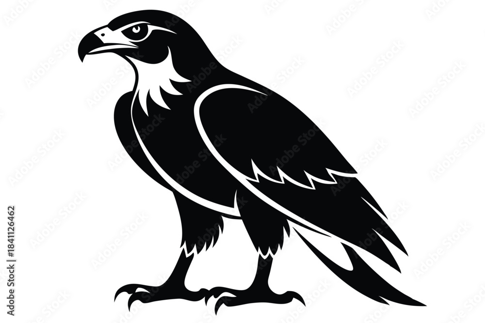 Fototapeta premium buzzard silhouette line art vector illustration with a white background