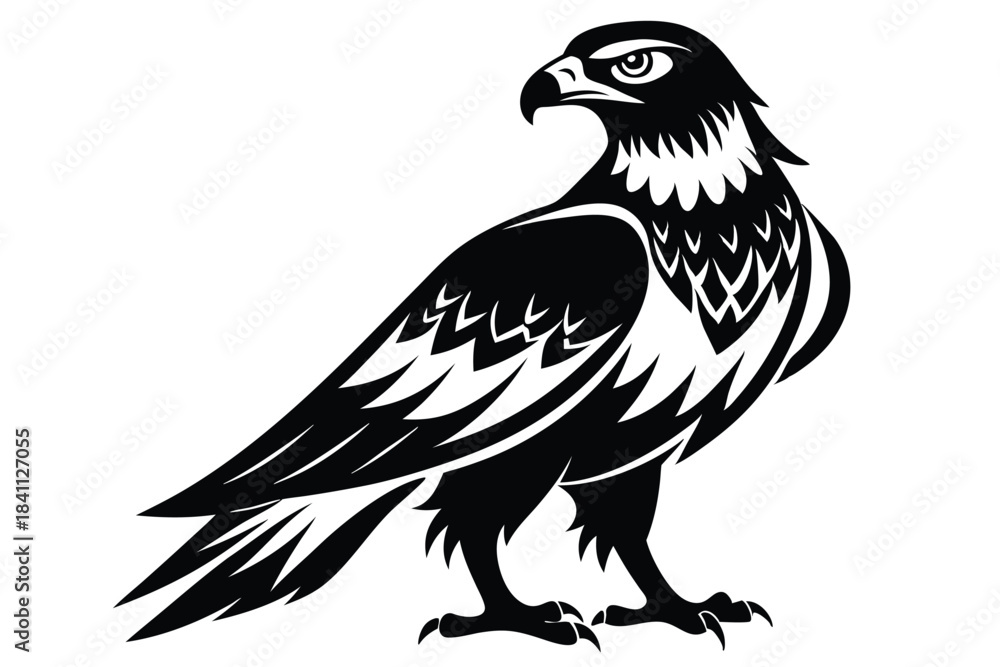Fototapeta premium buzzard silhouette line art vector illustration with a white background