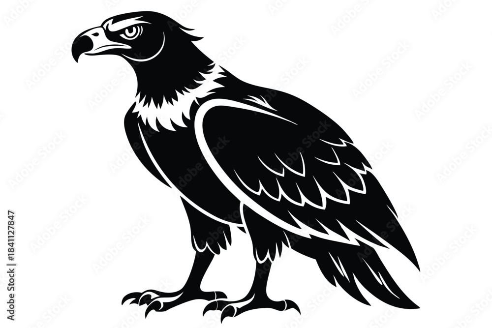 Obraz premium buzzard silhouette line art vector illustration with a white background
