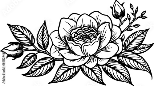 Very beautiful vintage botanical collection featuring detailed flowers and branches with refined linework, perfect for wedding invitations, elegant stationery, decorative prints, and timeless floral 