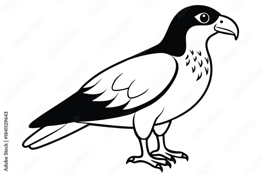 Fototapeta premium buzzard silhouette line art vector illustration with a white background