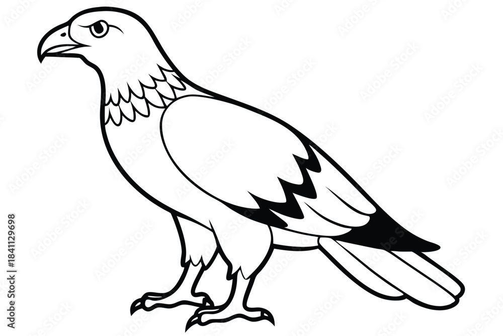 Fototapeta premium buzzard silhouette line art vector illustration with a white background