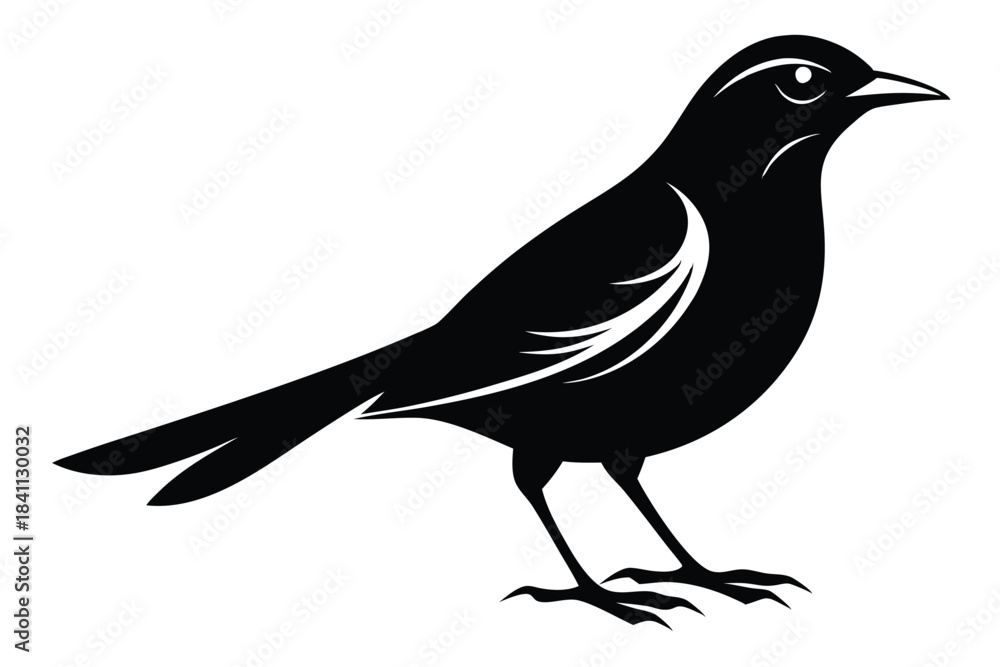 Obraz premium blackbird silhouette line art vector illustration with a white background