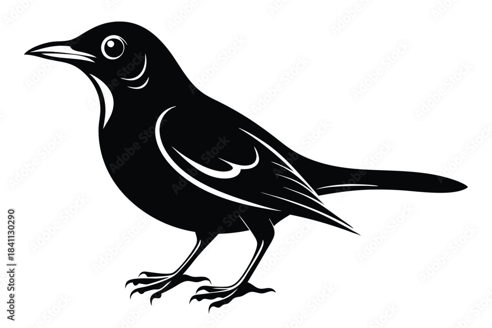 Obraz premium blackbird silhouette line art vector illustration with a white background