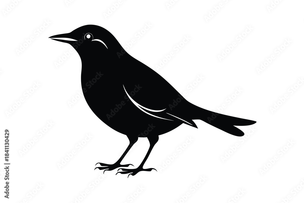 Obraz premium blackbird silhouette line art vector illustration with a white background