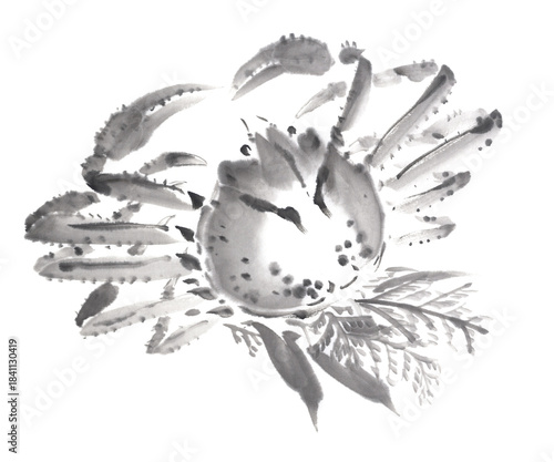 水墨で描いたズワイガニ