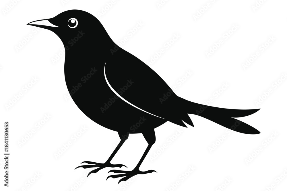 Obraz premium blackbird silhouette line art vector illustration with a white background