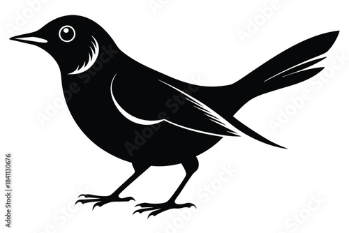 blackbird silhouette line art vector illustration with a white background