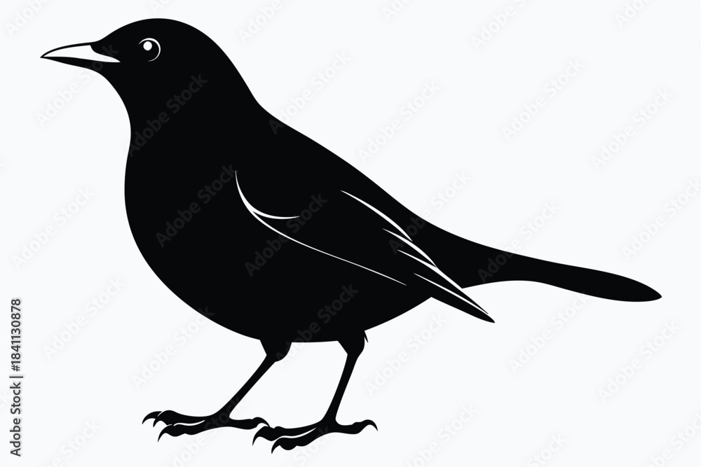 Obraz premium blackbird silhouette line art vector illustration with a white background