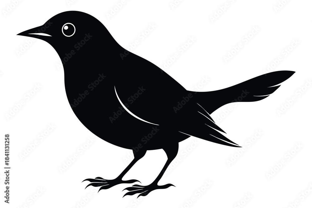 Obraz premium blackbird silhouette line art vector illustration with a white background