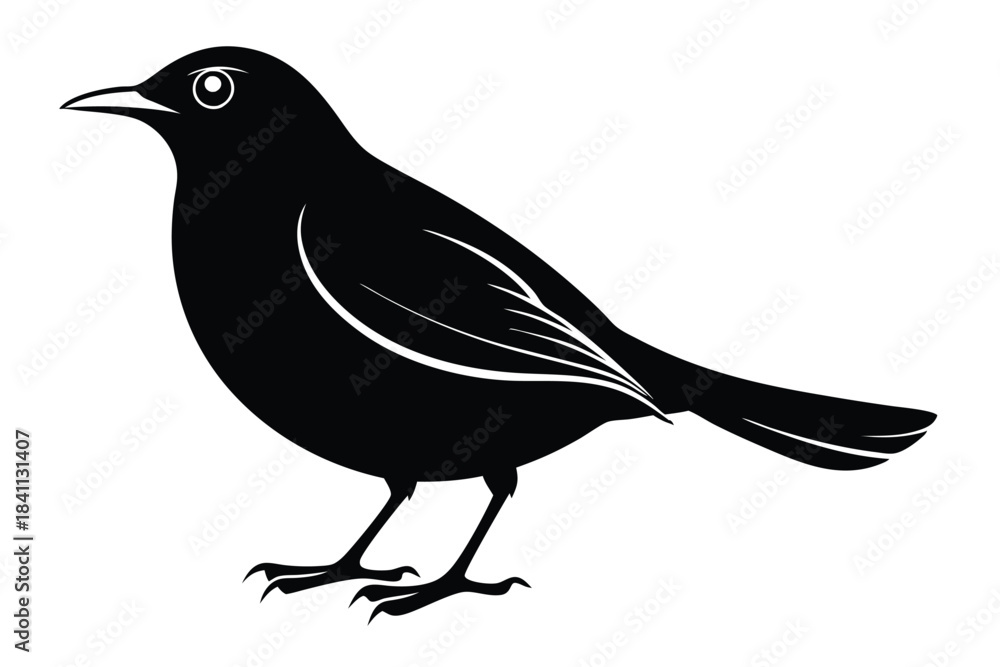 Obraz premium blackbird silhouette line art vector illustration with a white background