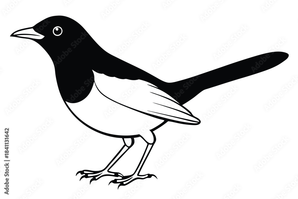 Obraz premium blackbird silhouette line art vector illustration with a white background