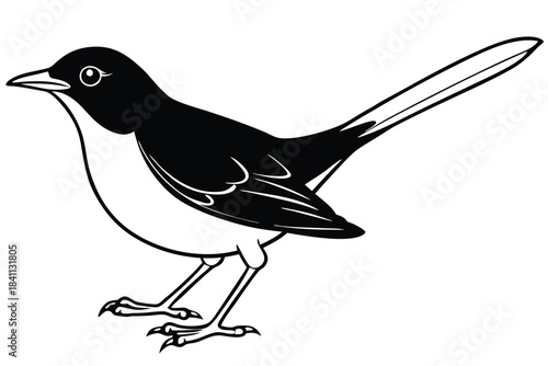 blackbird silhouette line art vector illustration with a white background