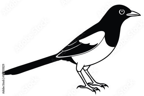 blackbird silhouette line art vector illustration with a white background