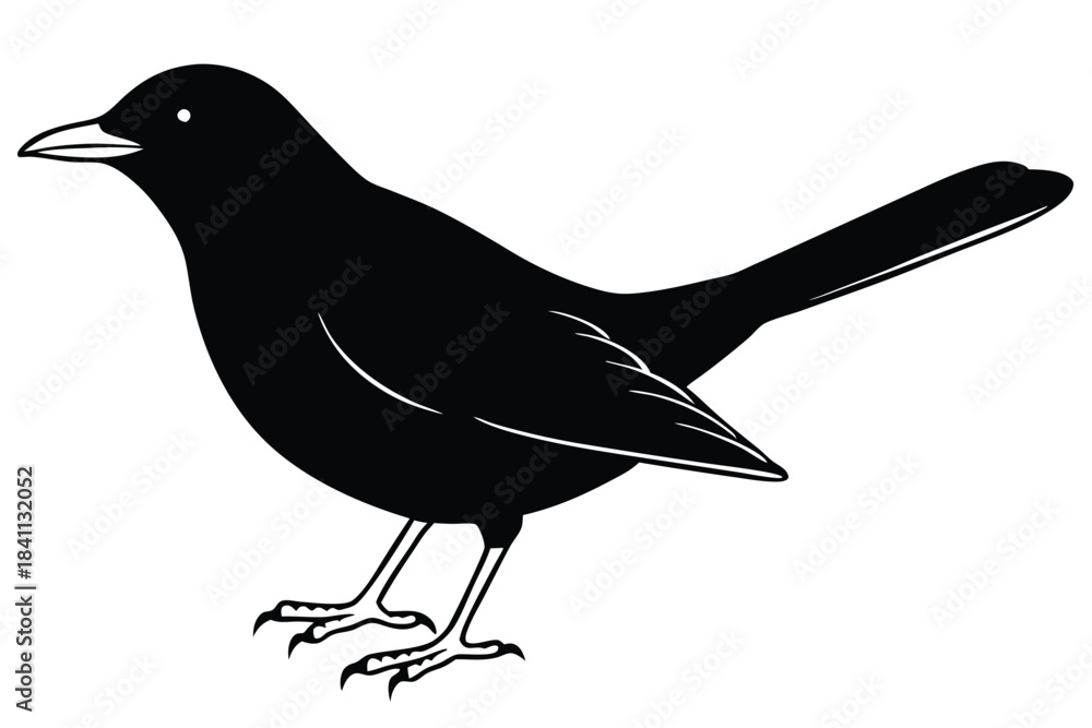 Obraz premium blackbird silhouette line art vector illustration with a white background