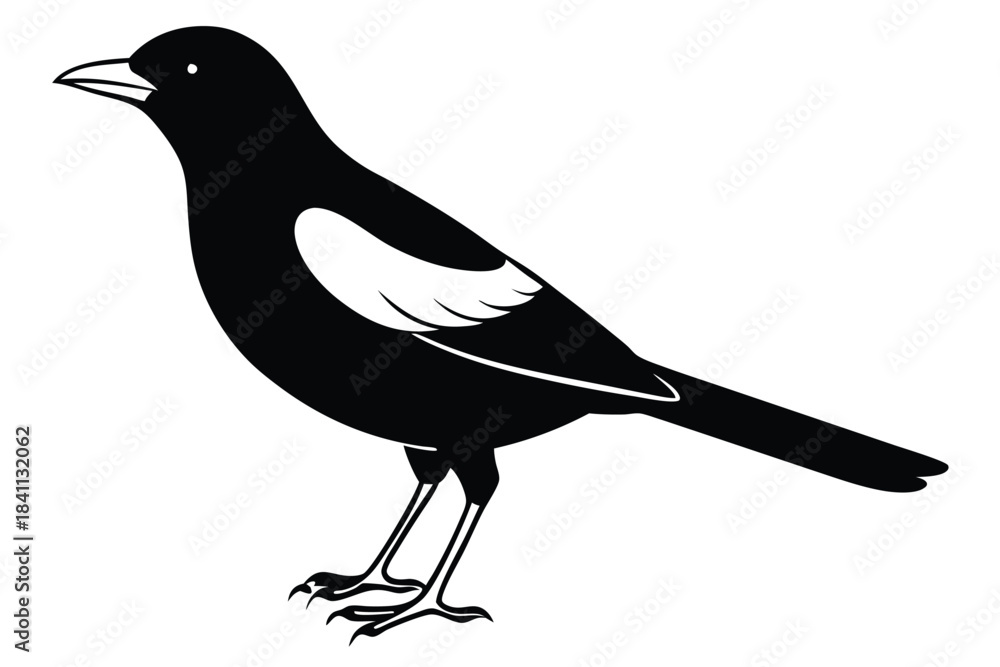 Obraz premium blackbird silhouette line art vector illustration with a white background