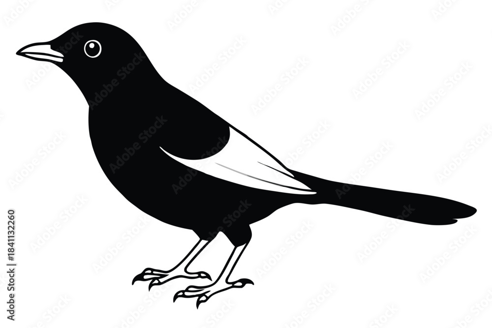 Obraz premium blackbird silhouette line art vector illustration with a white background