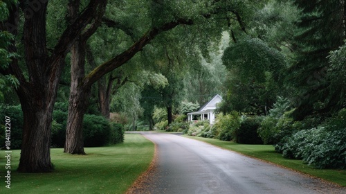 Fototapeta Naklejka Na Ścianę i Meble -  A tree-lined driveway leading to an old farmhouse, with green grass and trees. Large willows fill the lush, beautiful landscape, with trees lining both sides of the long, curved driveway.
