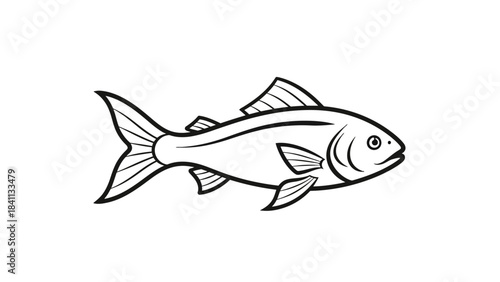 Artistic Fish illustration: A striking, black and white illustration of a fish. highlighting the simple elegance of marine life, the image, a perfect representation for educational materials.