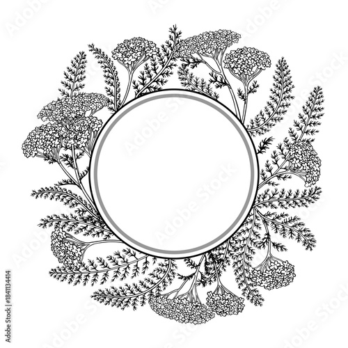Yarrow Branch with Flowers and Leaves Outline Round Frame. Vector isolated for design or decoration.
