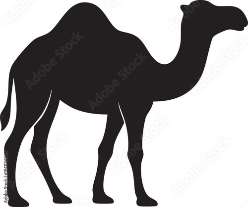 Desert Icon: A stark silhouette of a majestic camel stands in stark contrast, embodying the spirit of the desert and endurance. A versatile visual for travel, exploration, or exotic themes.