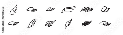 Collection of diverse hand drawn black and white wing outlines and silhouettes on a white background, vector illustration.