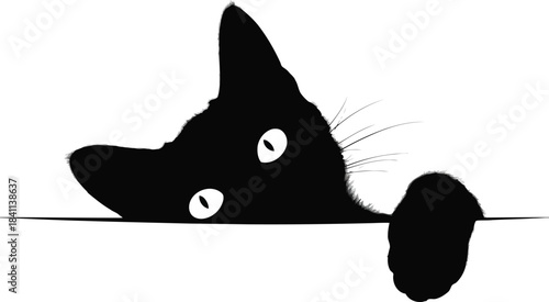 A curious black cat with bright white eyes peeks playfully over a horizontal surface line