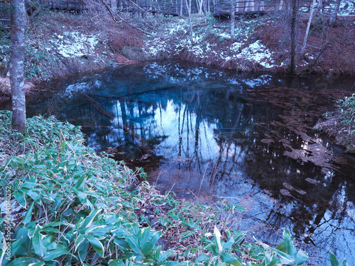 神の子池の夕暮れ時