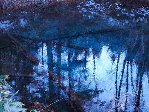 神の子池の夕暮れ時