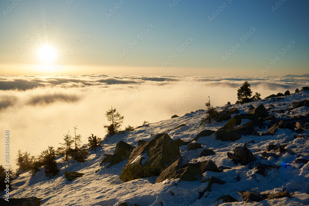 Fototapeta premium Snow-covered mountain slope at dawn, with scattered rocks and small trees adding texture to foreground. Sea of clouds below bathed in soft hues of blue and gold as sunlight gently illuminates scene.