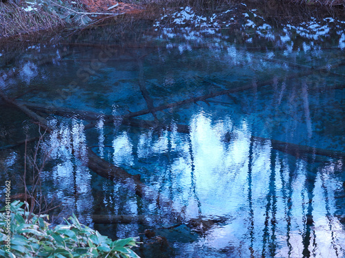 神の子池の夕暮れ時