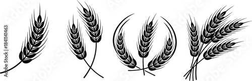 A collection of stylized black silhouette icons showcasing ripe wheat, rye, and barley ears for agriculture, bakery, farming, and organic food product design elements.