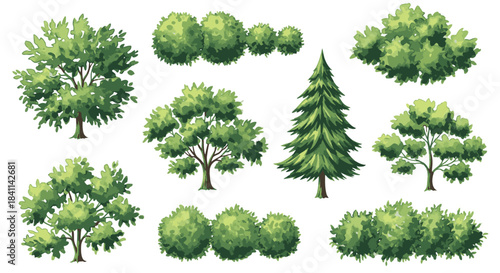 Various Green Bushes and Trees Illustration for Landscaping and Nature Designs