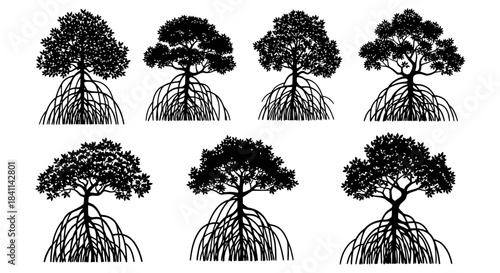 Mangrove Tree Silhouettes Diverse Roots and Canopy Designs for Ecological Illustrations