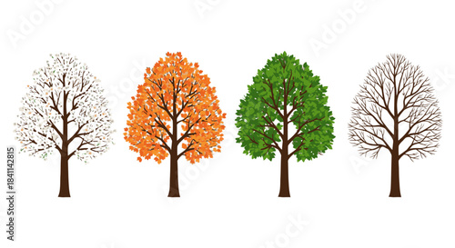 Seasons Trees A Colorful Representation of Seasonal Transformation