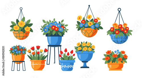 Collection of Flowers in Pots Decorative Floral Arrangements for Gardening