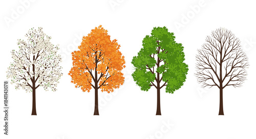Four trees illustrating the changing seasons of the year, from winter's bare branches to spring blossoms, summer's lush green, and autumn's vibrant orange foliage.