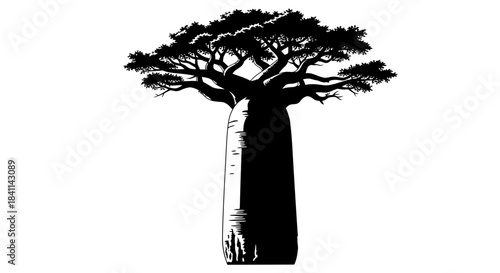 A black and white illustration of a large baobab tree with a thick trunk and sprawling branches, isolated on a white background.
