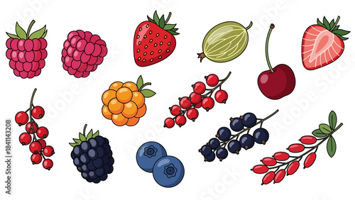 Assortment of Fresh, Ripe Berries Raspberries, Strawberries, Blueberries, Cherries, and More