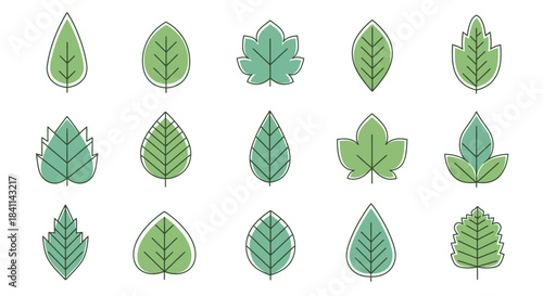 Leaf Icon Set A Collection of Various Leaf Shapes for Natural and Eco Designs