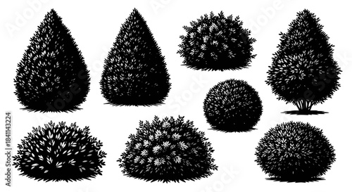 Black and white detailed illustrations of various garden bushes and small trees with different shapes.