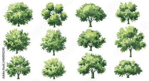 A diverse collection of twelve green trees with various shapes and foliage, illustrated and isolated on a white background.