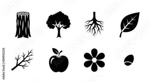Collection of black silhouette icons representing various parts of plants and nature elements like trees, leaves, fruits, and seeds on a white background.